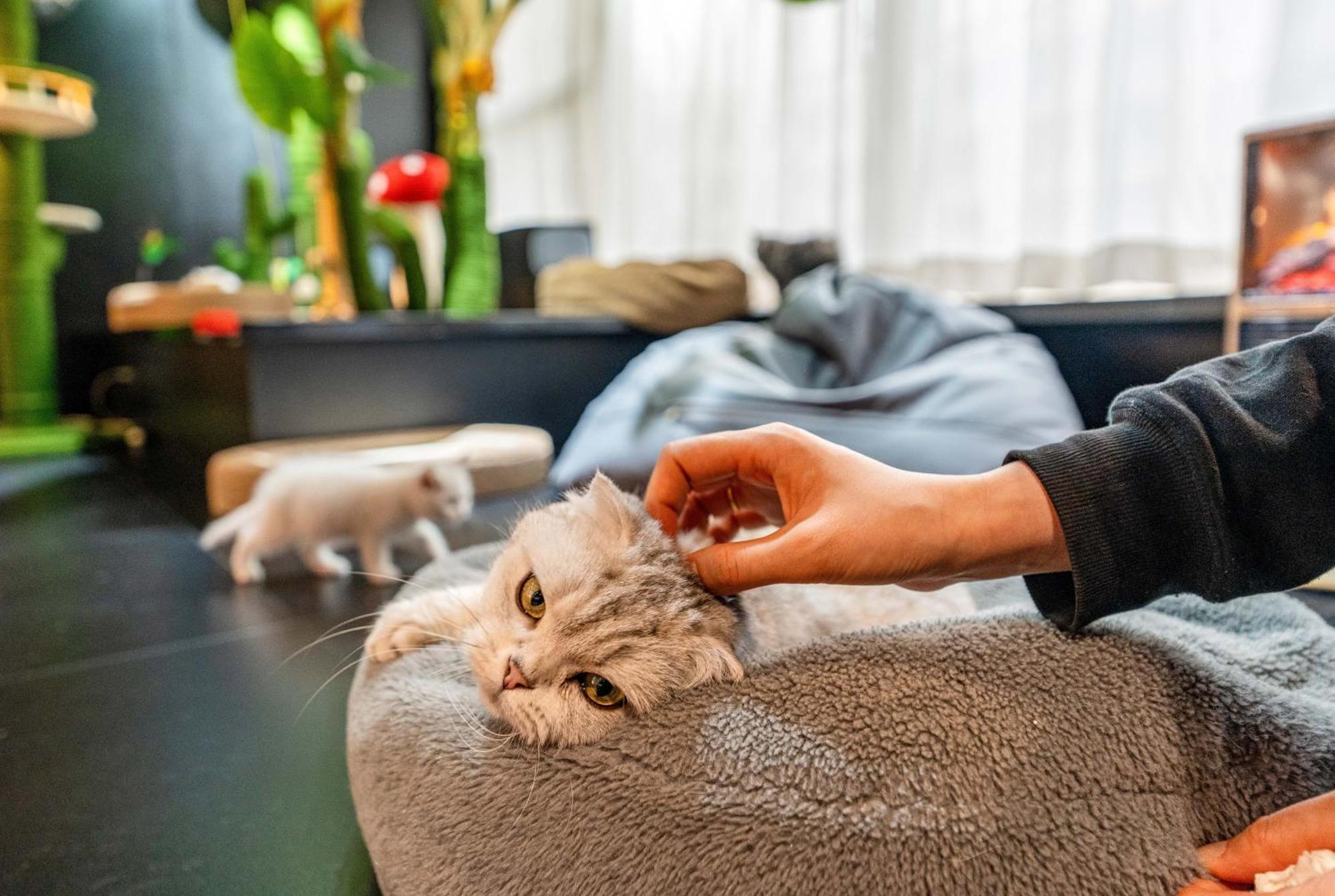 Hesu Designer Hotel & Suites -Near Xi'An Drum Tower And Yongning Gate -Free Laundry Luggage Storage -Kitty Cafe With Freshly Ground Coffee -24H Front Desk -English Service Zewnętrze zdjęcie