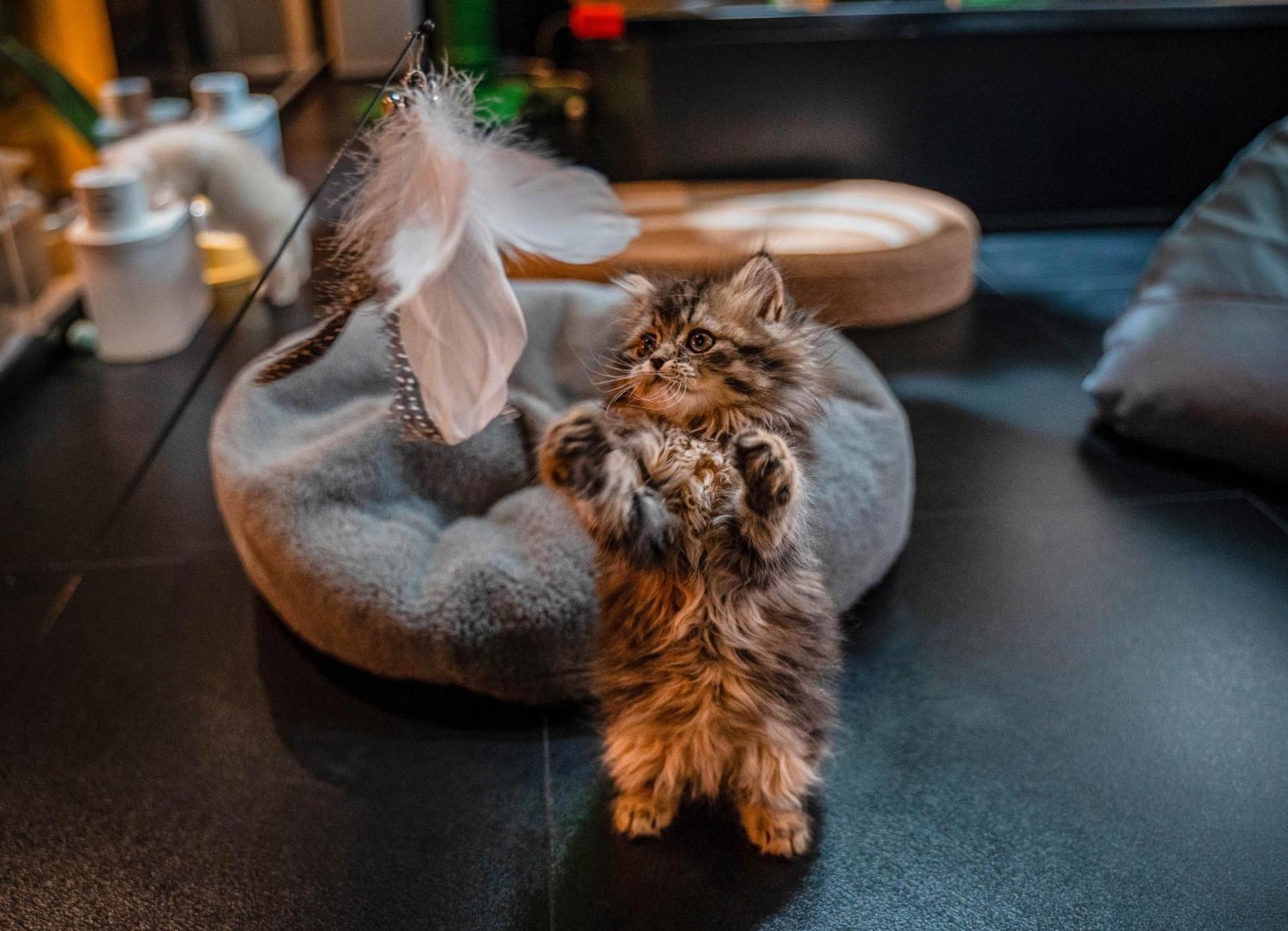 Hesu Designer Hotel & Suites -Near Xi'An Drum Tower And Yongning Gate -Free Laundry Luggage Storage -Kitty Cafe With Freshly Ground Coffee -24H Front Desk -English Service Zewnętrze zdjęcie